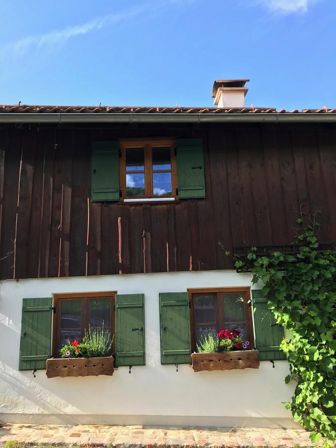 Chalet Alpenrose شفانغو المظهر الخارجي الصورة