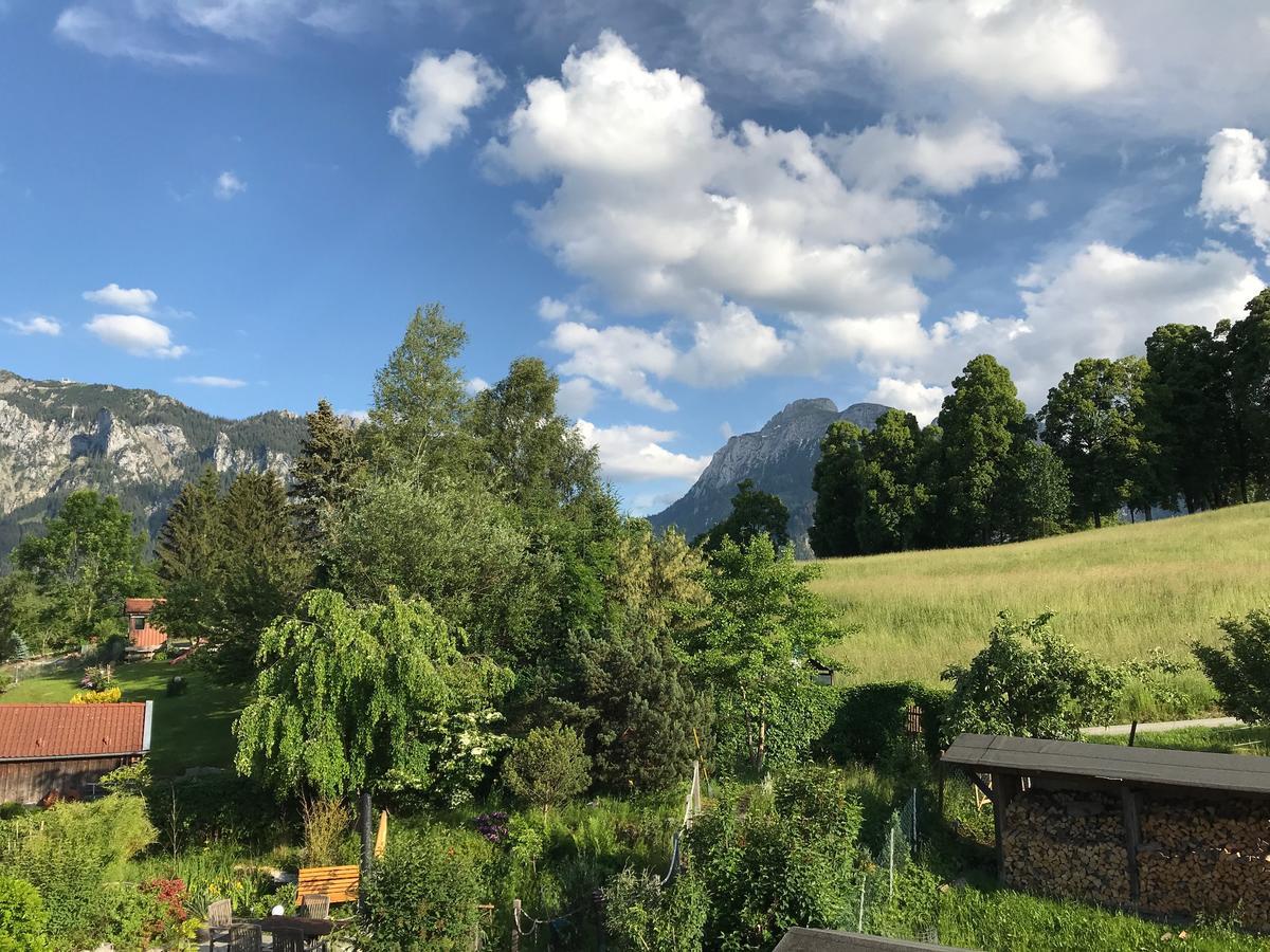 Chalet Alpenrose شفانغو المظهر الخارجي الصورة