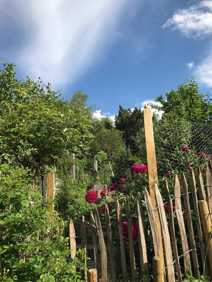 Chalet Alpenrose شفانغو المظهر الخارجي الصورة
